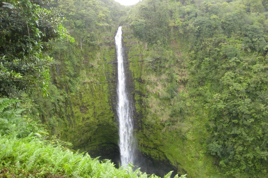 ../image/akaka falls 2.jpg